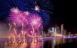 pink and blue fireworks HD wallpaper