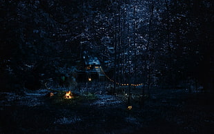 gray and brown house, cabin, forest, night, campfire HD wallpaper