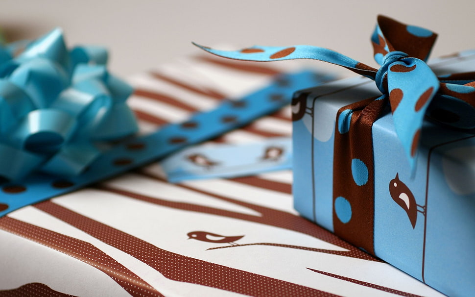 blue polka dotted ribbon on box HD wallpaper