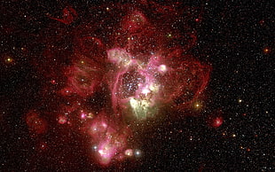 pink galaxy illustration