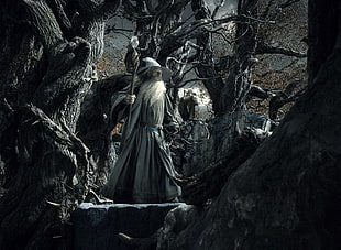 wizard, Gandalf, Radagast, The Hobbit: The Desolation of Smaug, Ian McKellen HD wallpaper