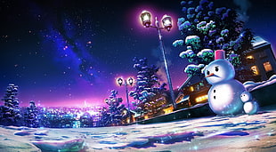snowmans photo, sky, stars, landscape, night HD wallpaper