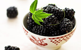 photography of black fruits HD wallpaper