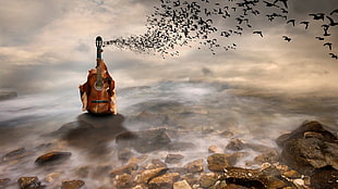 brown and black classical guitar, digital art, landscape, nature, clouds HD wallpaper