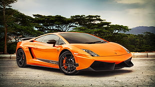 orange Lamborghini Aventador, Lamborghini Gallardo HD wallpaper