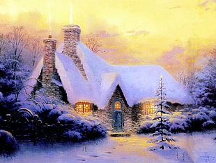 snow house illustration during night time