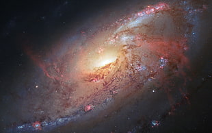 galaxy illustration, universe, galaxy, space, Messier 106 HD wallpaper