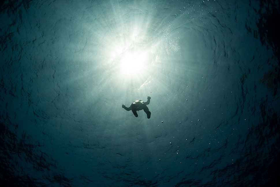 man bathing on body of water, underwater, sunlight HD wallpaper