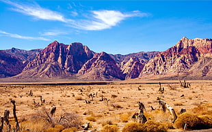 desert mountain, Las Vegas, Red Rock Canyon, desert HD wallpaper