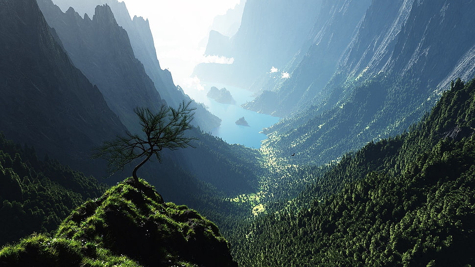 body of water between mountains HD wallpaper