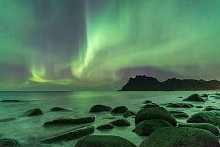 aurora borealis, norway HD wallpaper