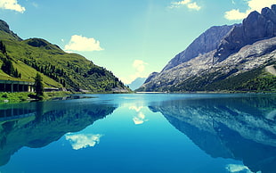 reflective photo of calm body of water between mountain and trees during daytime