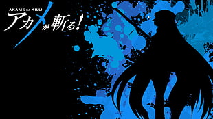Akame Kill digital wallpaper, Akame ga Kill!, Esdeath HD wallpaper