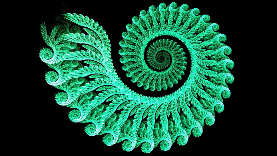 green spiral shape illustration HD wallpaper