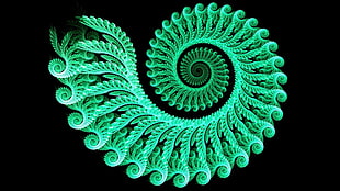 green spiral shape illustration