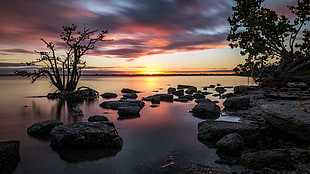 photo of gray rocks and green trees near body of the water, florida