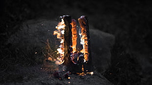 lighted fire during nighttime HD wallpaper