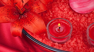 selective focus photography of red votive candle