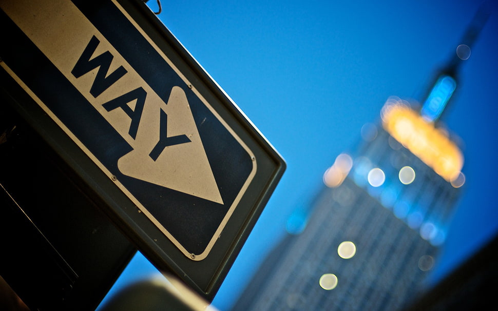 white and black Way signage, photography, urban, city, cityscape HD wallpaper