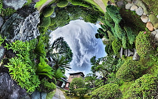 low angle photography of house near trees, nature, landscape, trees, clouds