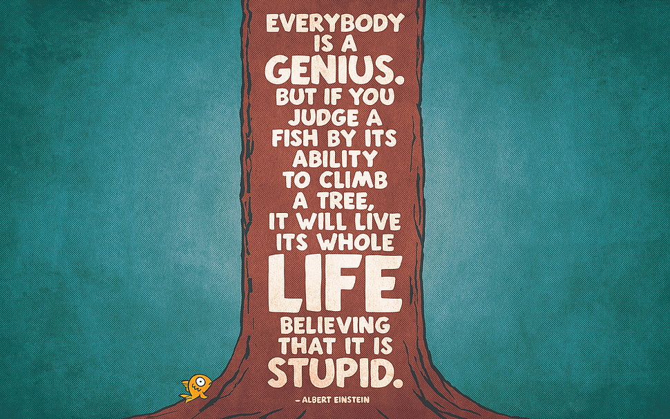 everybody is a genius text HD wallpaper