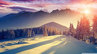 black and gray mountain range during snow season