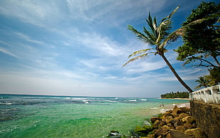 beach landscape photography HD wallpaper