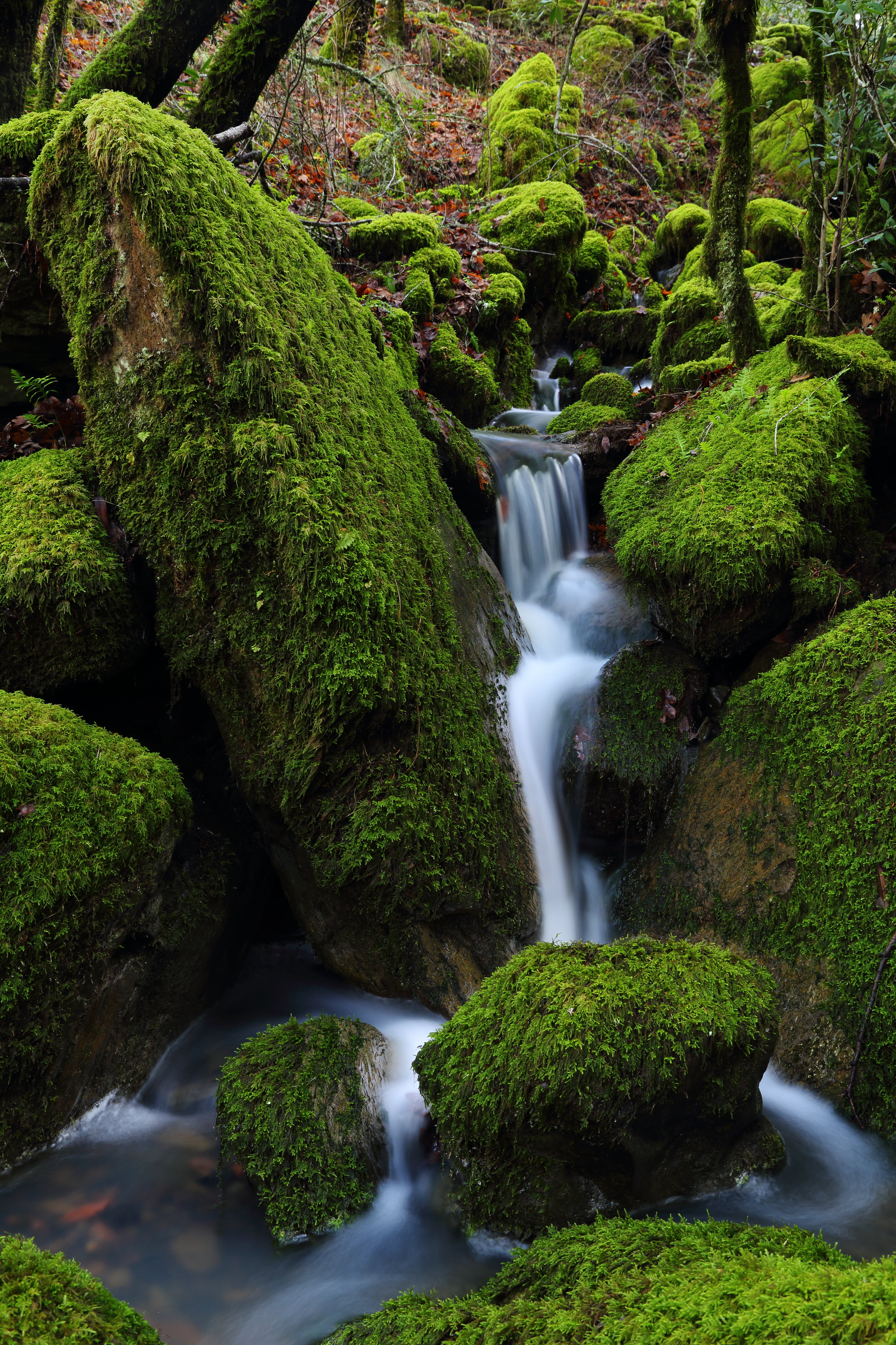 green trees near rocks with grass and falls, california