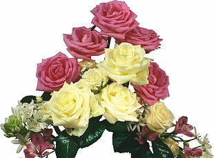 pink and yellow flower decors