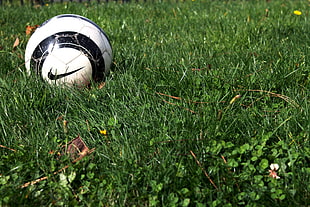 white and black Nike soccer ball on green grass