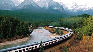body of water between pine trees, train, mountains, forest, river