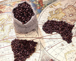 bunch of coffee beans, map, coffee beans, South America, Africa