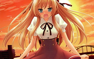anime character in white blouse and brown skirt