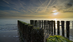 pillars on sea shore during daytime HD wallpaper