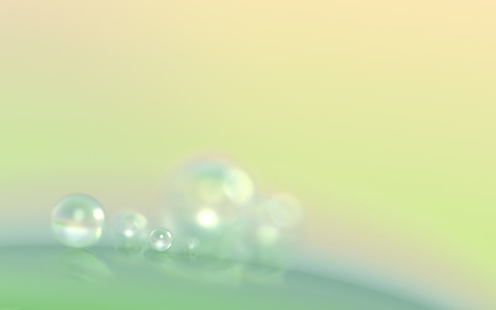 bubble wallpaper HD wallpaper