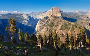 green trees, landscape, Yosemite National Park, USA, Half Dome