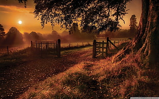 brown wooden farm gate, landscape HD wallpaper