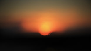 silhouette of gold hour HD wallpaper