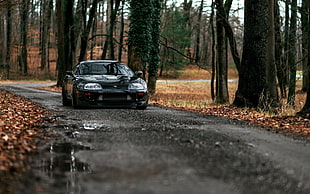 black car, car, forest, road, Toyota Supra HD wallpaper