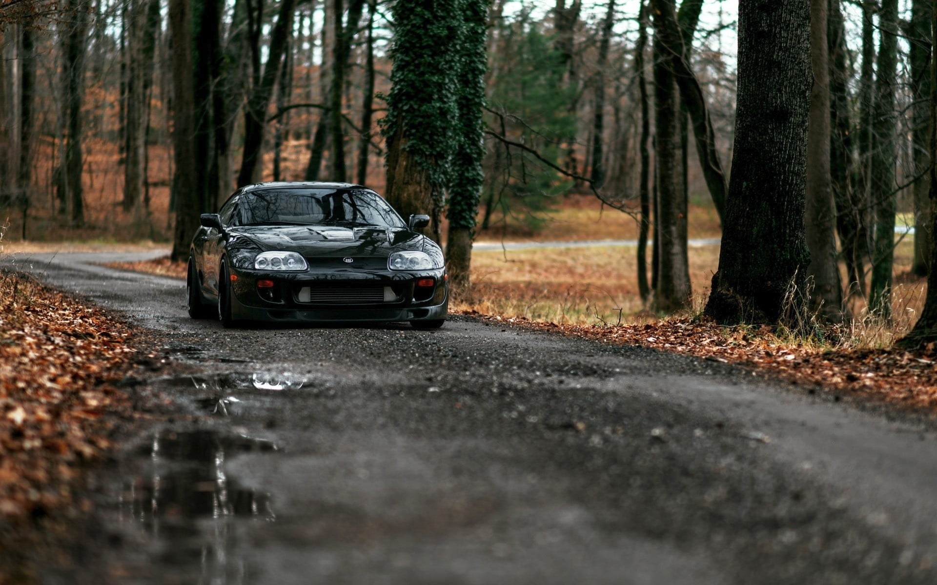 black car, car, forest, road, Toyota Supra