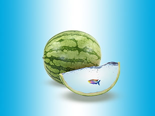 watermelon fruit, fish, water, watermelons, digital art