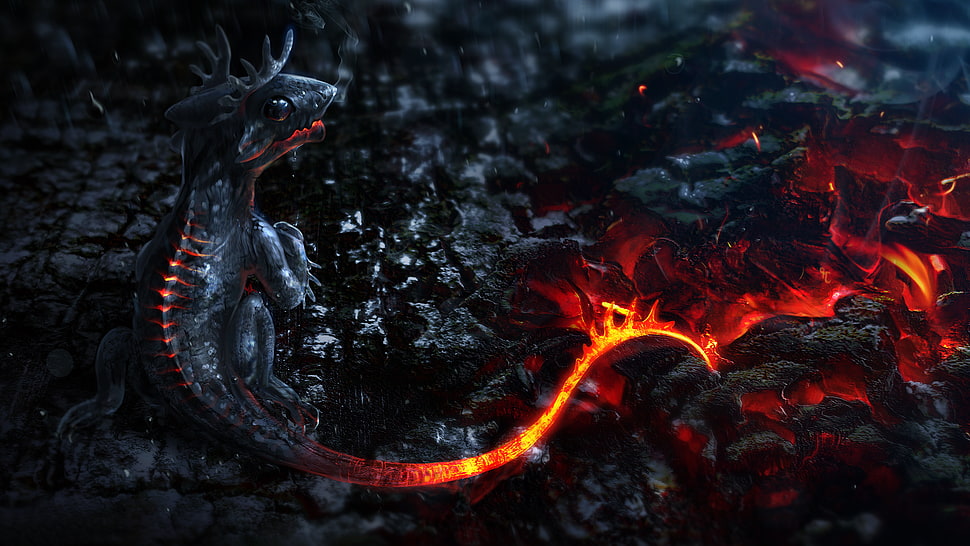 gray baby dragon, dragon, fantasy art, CGI, digital art HD wallpaper