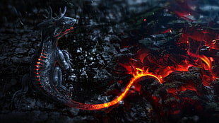 gray baby dragon, dragon, fantasy art, CGI, digital art