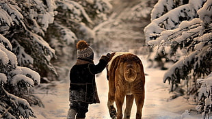 adult Saint Bernard, children, dog, snow, animals
