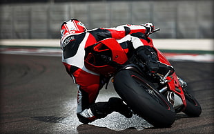 red and black sportbike, Ducati, motorcycle, Ducati 1199 HD wallpaper