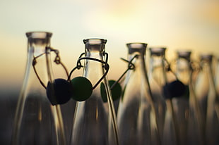 selective focus photography of glass bottles HD wallpaper