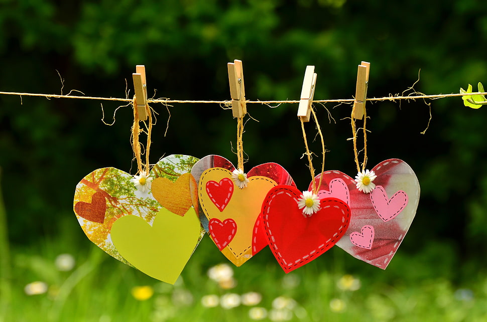 red hearts hanged on clothes clip on clothes line in selective focus photography HD wallpaper