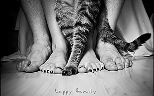 gray scale photography of person's feet and animal paw