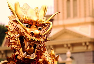 gold-colored dragon statue, chinese dragon, dragon, statue, culture HD wallpaper