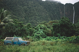 blue pickup truck on the green field
